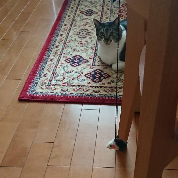 3228d060 0da5 49ec 9f26 9fa22214bb02 1557820643253