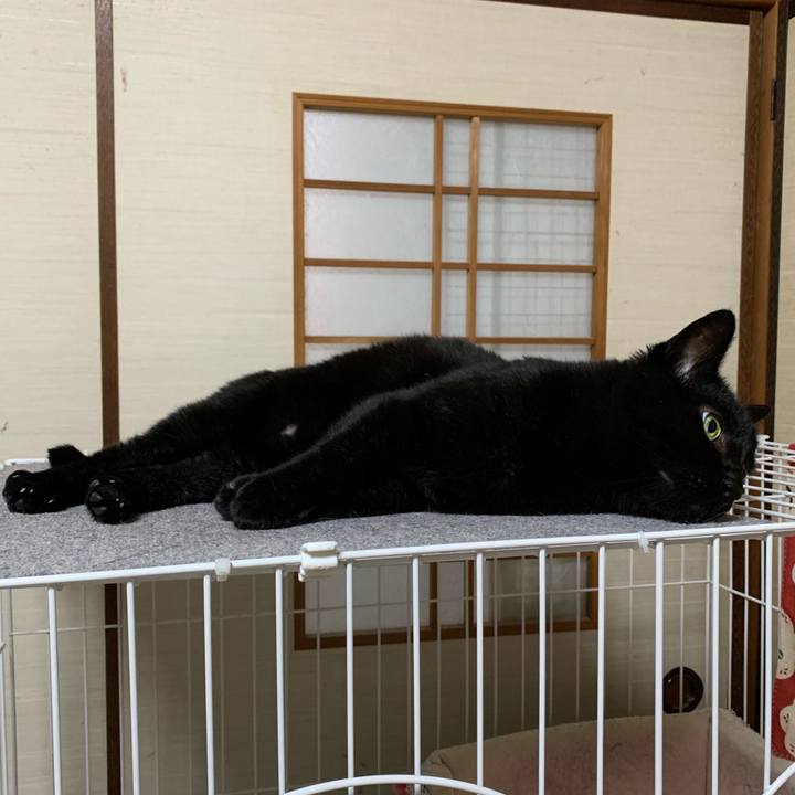 3228d525 3c0f 480f a6c5 845e684e2ebd 1556585880880