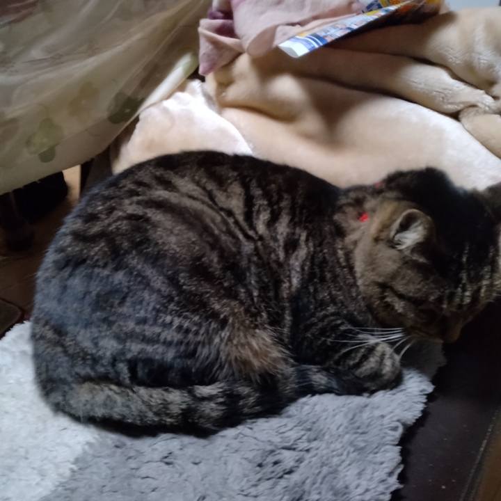 32291147 3c2a 4d13 bd1b 61b153650c9d 1671313273674