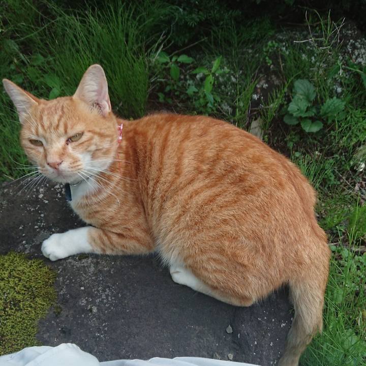 32291b09 940d 4d45 8ded c9bd48a67817 1597743465294