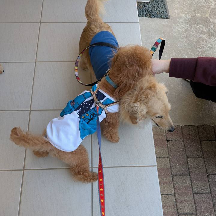 322921c8 1c59 43d5 bd5a 6dcb61e7fe30 1774068020885