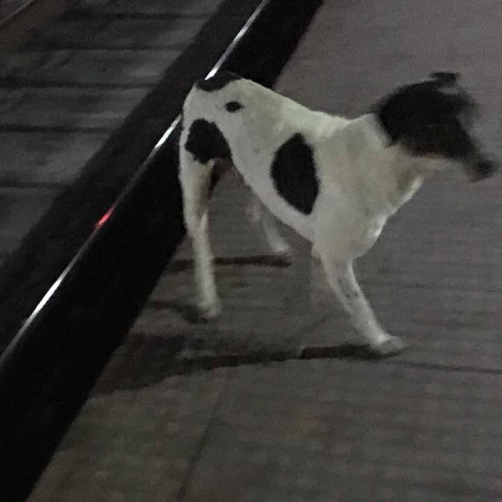 322923f9 5ec8 4803 b0d4 6b89ac518437 1541167025894