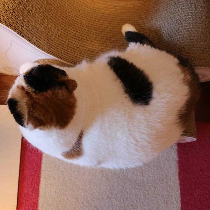 322932fe bcf0 4ddb bfaf 59359961d268 1564128442977