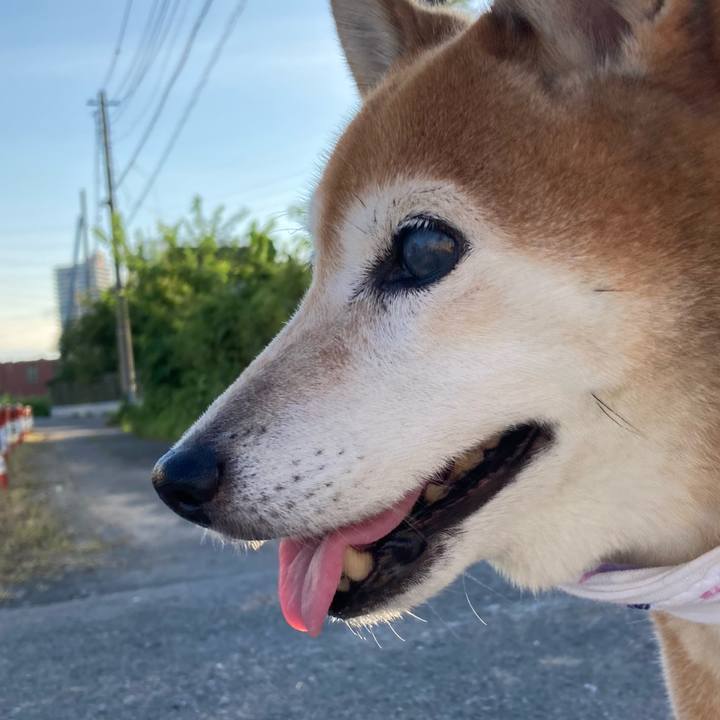 322934aa 91d2 4c54 a6a6 d786ae732696 1722504433035