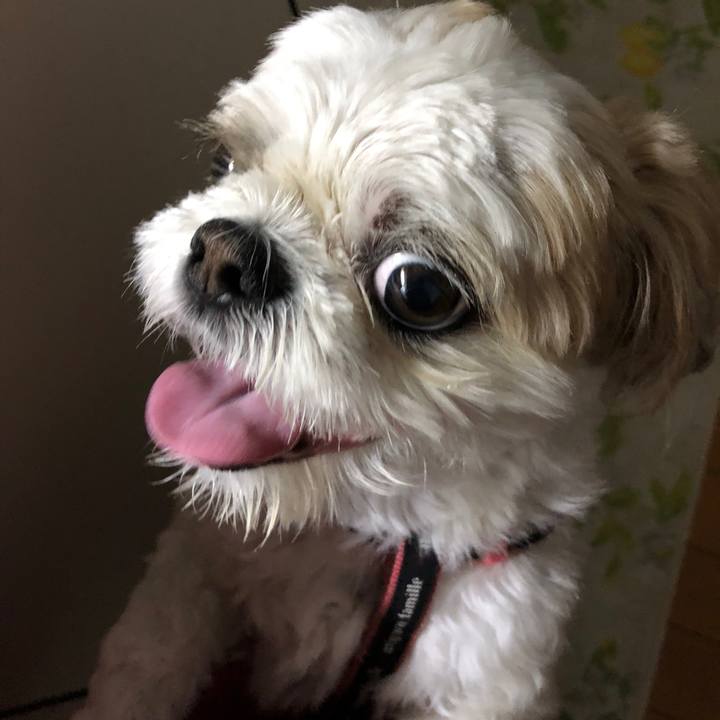 32295765 6014 47db 93e3 51cb4b105036 1623748245676