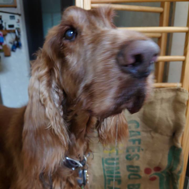 3229589c 0163 4467 860e b016892f8c7d 1616585186766