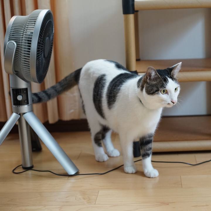 3229630c 0e45 4cbd 911b 2c3e7886cc6e 1534982010543