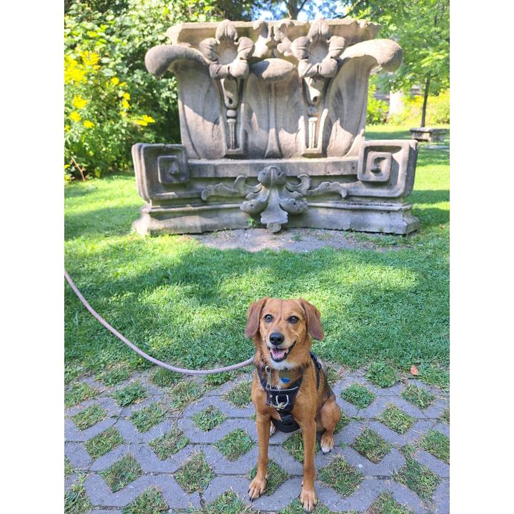 32297474 bdd6 4fe7 a4e0 698553c3fbb1 1757890178330