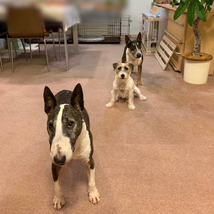 322983a5 a101 4b97 9d1a 97f98945dca4 1600170684495