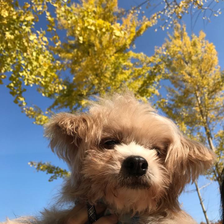 3229a9ee 14d0 4a6b 9b2c c9fe854b1e14 1542303446238