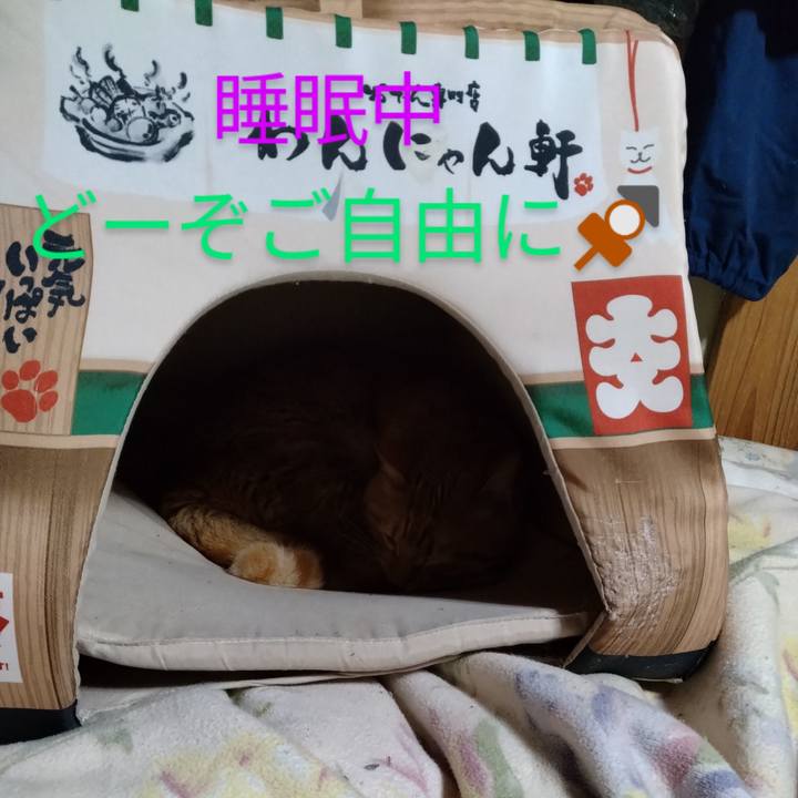 3229aaf4 1e3d 4e3c 88bb 0ddd03e3f10b 1675773228037