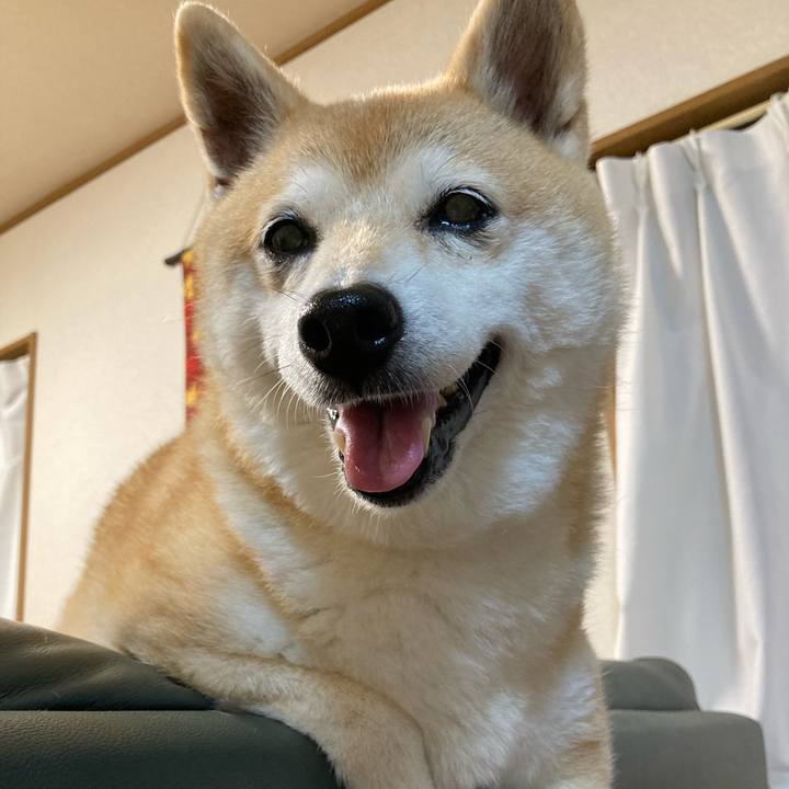 3229b1ba 7607 4397 a230 efd4f436a0b4 1633951937706