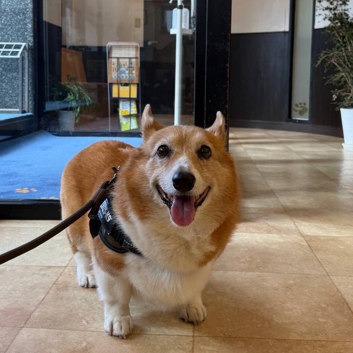 3229eeb9 370a 4375 b6b0 c8ef8e3a02e8 1760832198812