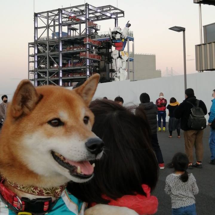 3229f796 592f 4c88 acf3 c5596b8110d6 1639365277858