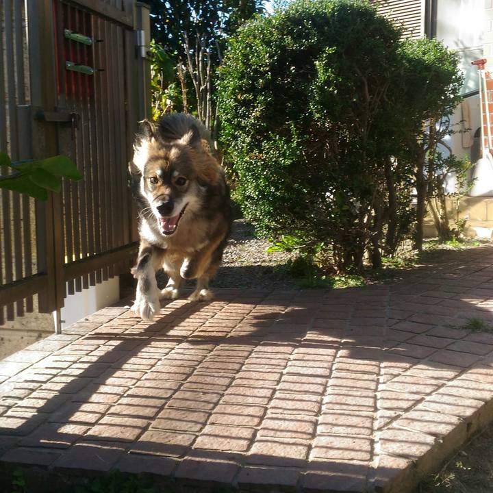 322a1c63 4c4b 434f a806 1b3818535edd 1570721548029