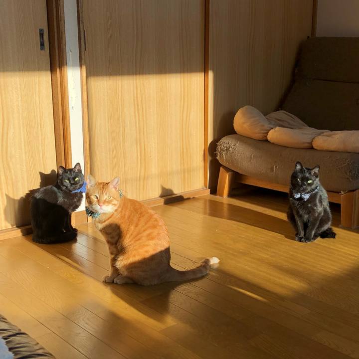 322a5755 f320 43fc b3b5 8b02c98d8c16 1553896542292