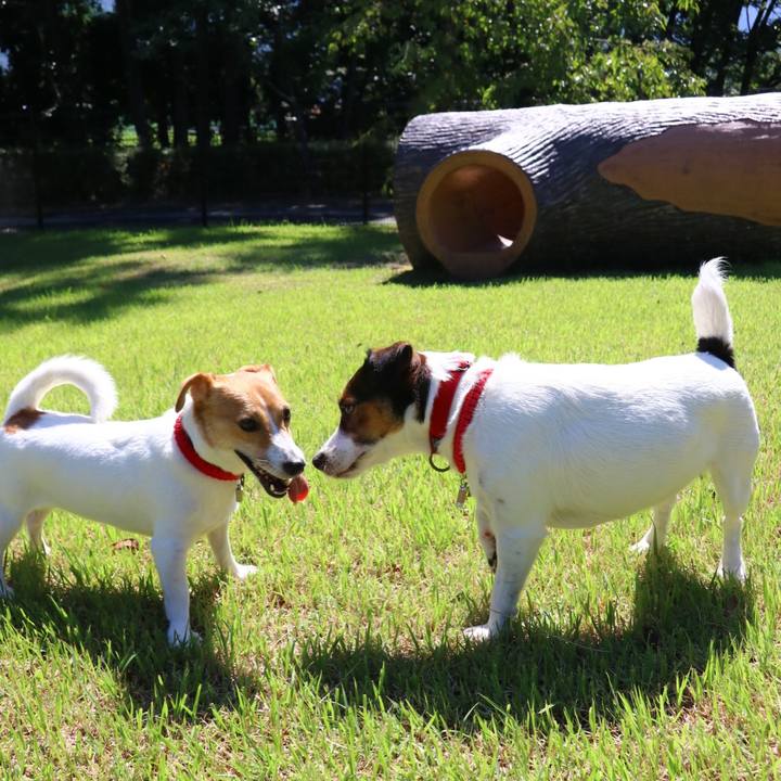 322a6575 5514 44bb 9c89 329c63823061 1568443942863