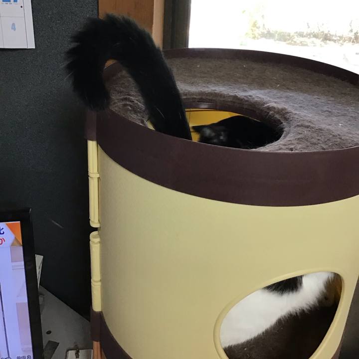 322a6824 91a7 4a23 82a7 71c01cf06b82 1758104060901