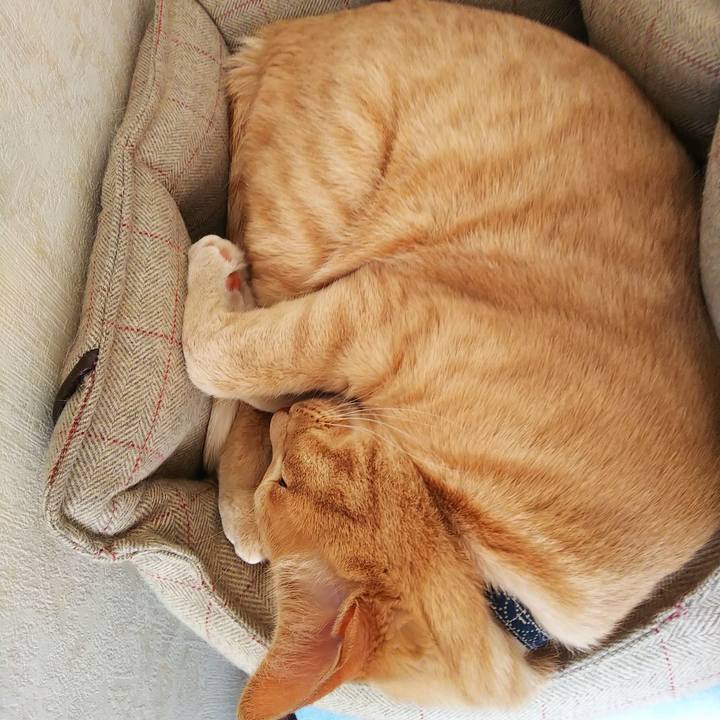 322a9317 ec49 4b8d a984 f57a30a055c0 1611275677666