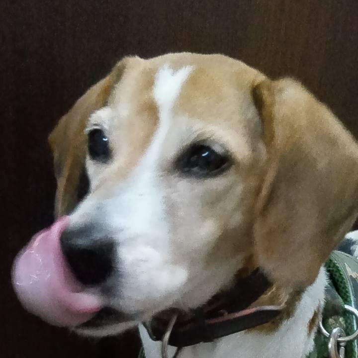 322abe26 7b9e 4bff 949f da9579c4d1a8 1735097203351