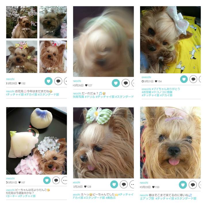 322ade0b 02fb 45de 8a76 50a43419dd67 1554187465241