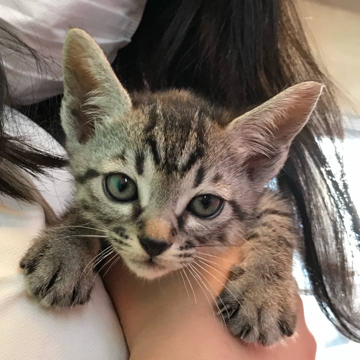 322aea32 2ae2 4389 bed9 c9e2b4fb594b 1528635660242