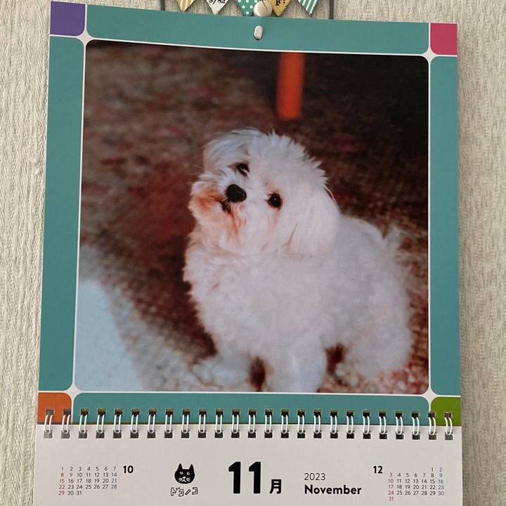 322aff70 b4a8 4392 9fe8 3f327120073e 1698820324308