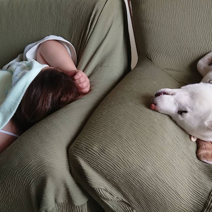 322b039e 7968 4e21 bbea e35e3a3163d2 1566469284451