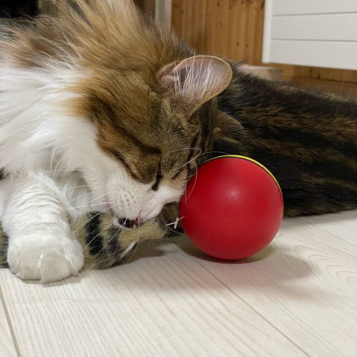 322b05d0 0da8 4409 bf34 7254f50719ce 1655296851390