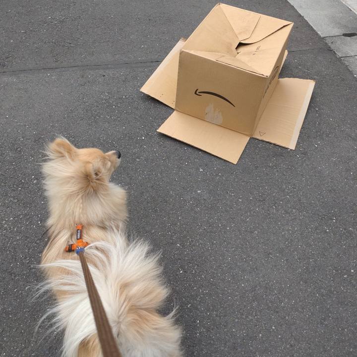 322b2e70 734e 4c08 8196 559c9df89f5a 1744155909578