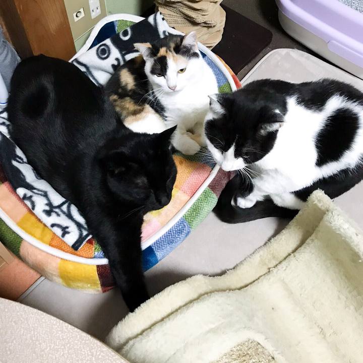 322b6749 ebbe 4154 8049 e498e579bcd6 1510286516652