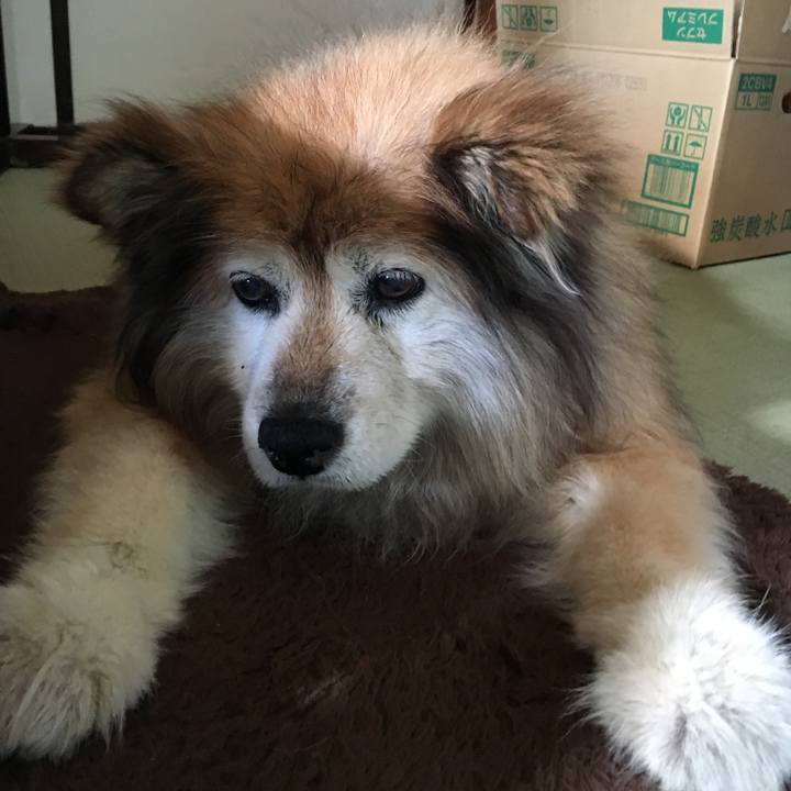 322b6c8d 48f0 48d4 8db5 25ef414020d8 1594730652861