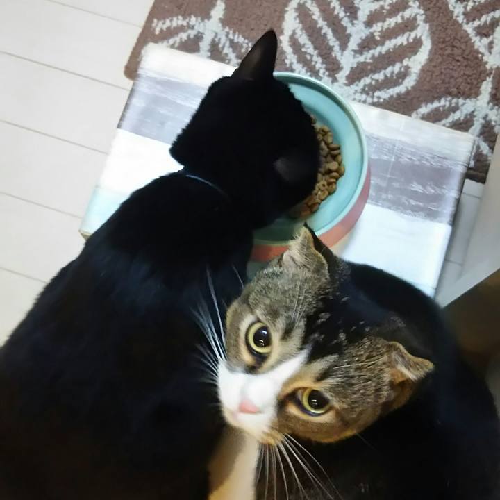 322b7079 9847 4498 886f 563e3e295cc5 1528623888875