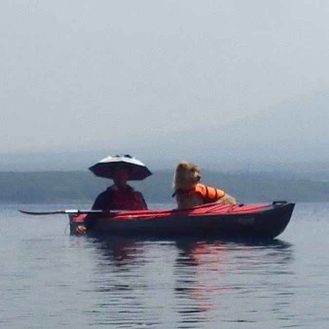 322b7c77 de17 4829 bbf8 eae65e67d4e1 1558778050128