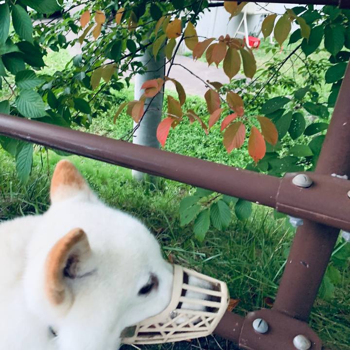 322be6f9 ab2d 4c12 907a 04734171198f 1597869907450