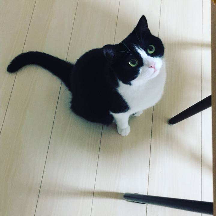 322bf5dc 290d 4ace 9d30 6ad7d1403b21 1634214605864