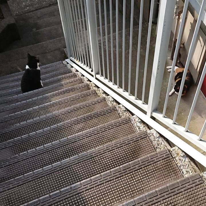 322bfc15 6ced 4dde aa04 af56136cce13 1595238496270