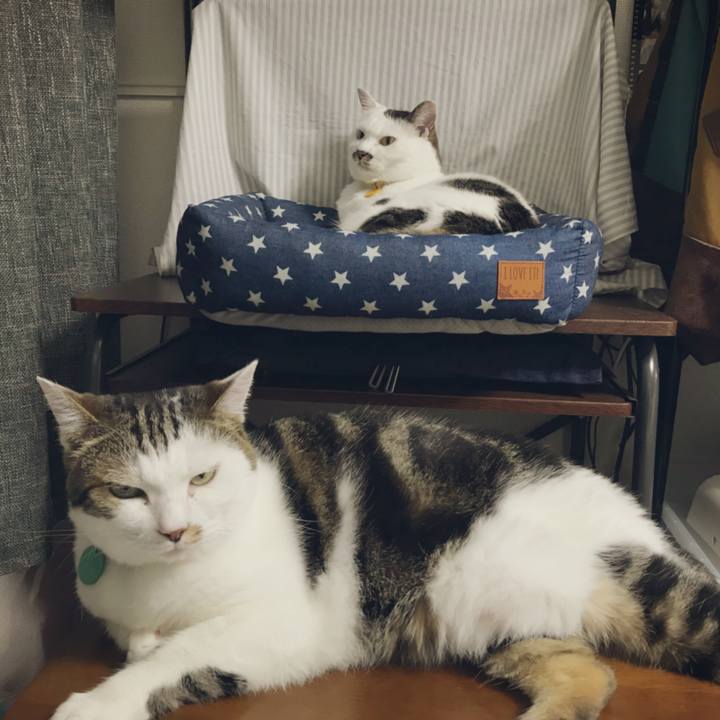 322c24c1 a54a 4d3c 8f30 42dd2cee7cc6 1533288433065