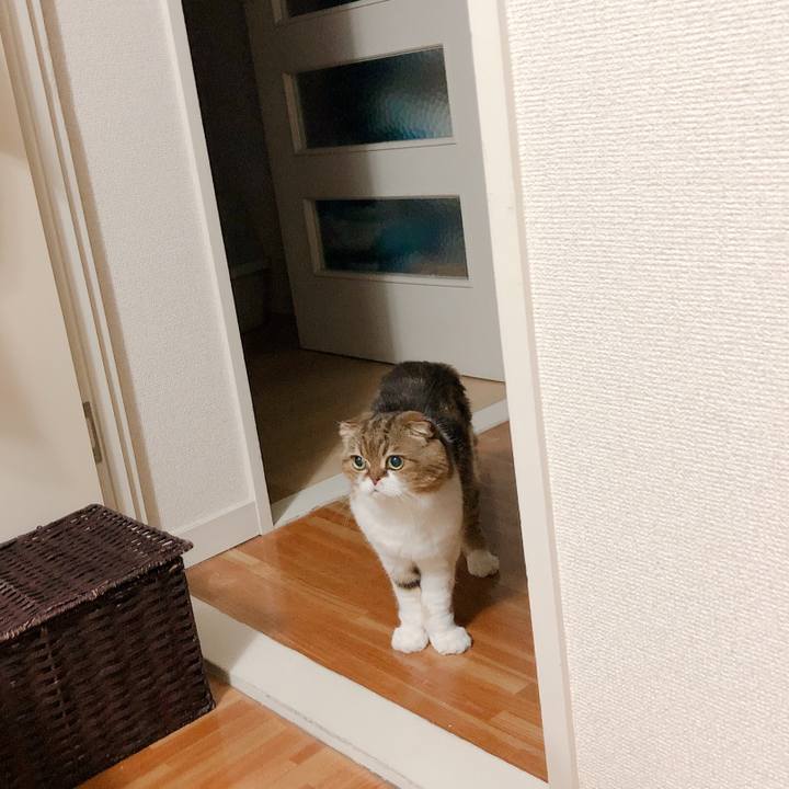 322c7cc5 edd4 4584 be6d 0f82f402253f 1566557588749