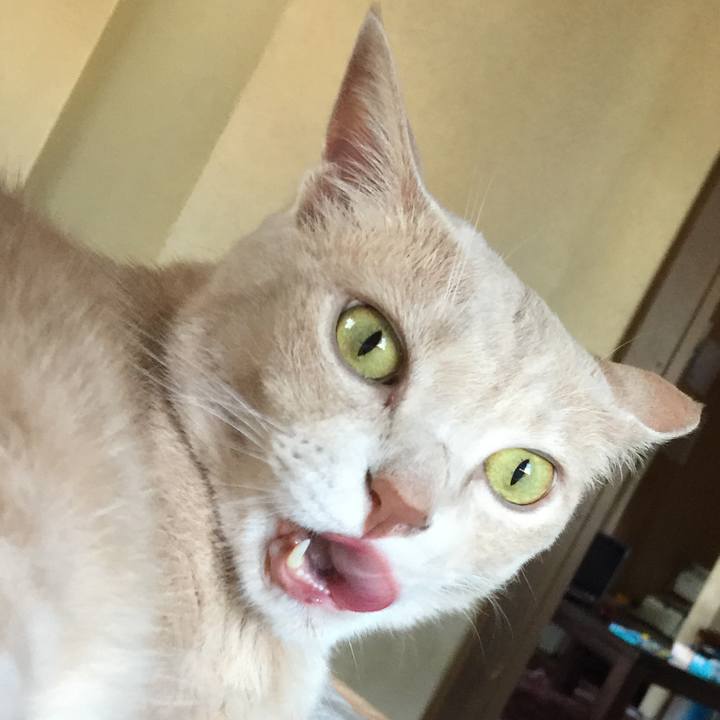 322cde59 f565 4575 844b 389209c79a86 1592896907388