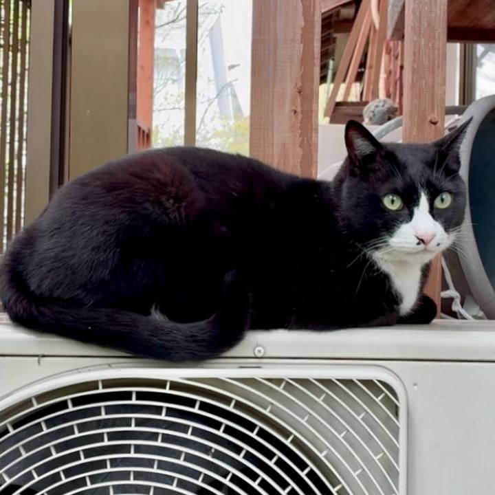 322cec82 b3cb 4ef0 9fe1 69bc5d9c9ae8 1744427256559