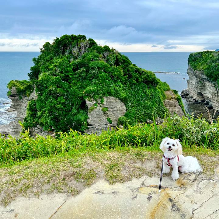 322cfe03 be65 4915 bdb0 c76f853ed512 1657351588245