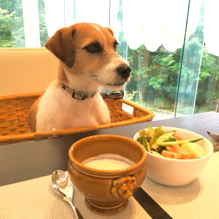 322d14f5 2561 4d59 9ace 9b1d448f9b73 1568332718805