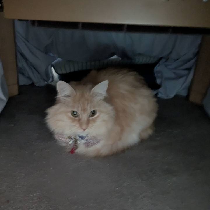 322d3909 5180 4e05 ac39 a93382e40a87 1765418428777