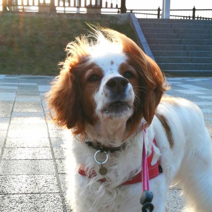 322d446b 8553 4dd5 bc0b d6b469394e86 1617968977611