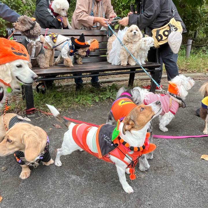 322d4a2d 482b 483d a588 11b5c1c48bfb 1761304781715