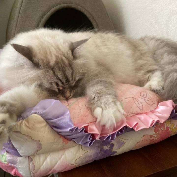 322d4e39 0208 4a47 b2f6 87cd93bdcf61 1735605382208