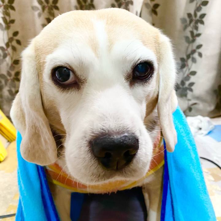 322d9083 3814 4906 92ba 859b47803c23 1614312586681