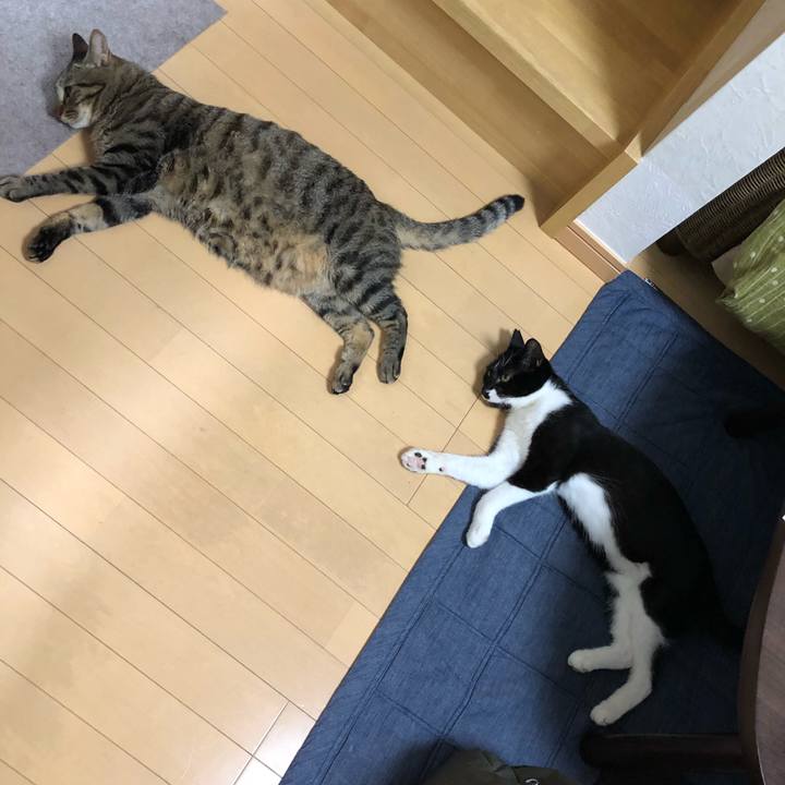 322dd634 606e 4e5b 8ea8 85c6f46f41fd 1535320012861