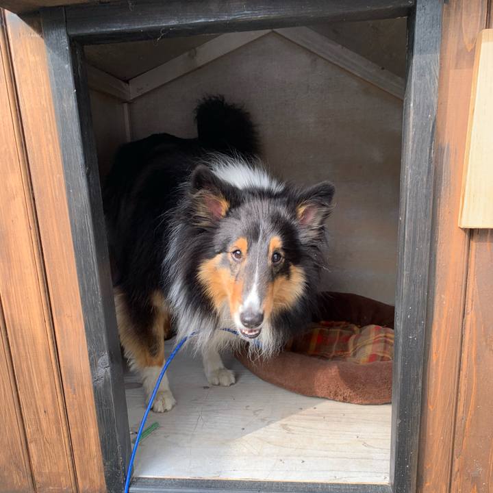 322ddc75 abd9 48ab b04a 5d9c4d784de7 1560464480668